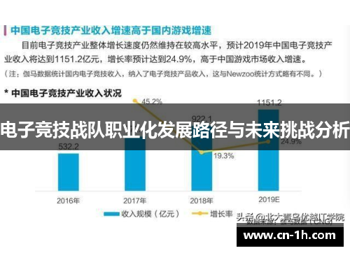 电子竞技战队职业化发展路径与未来挑战分析